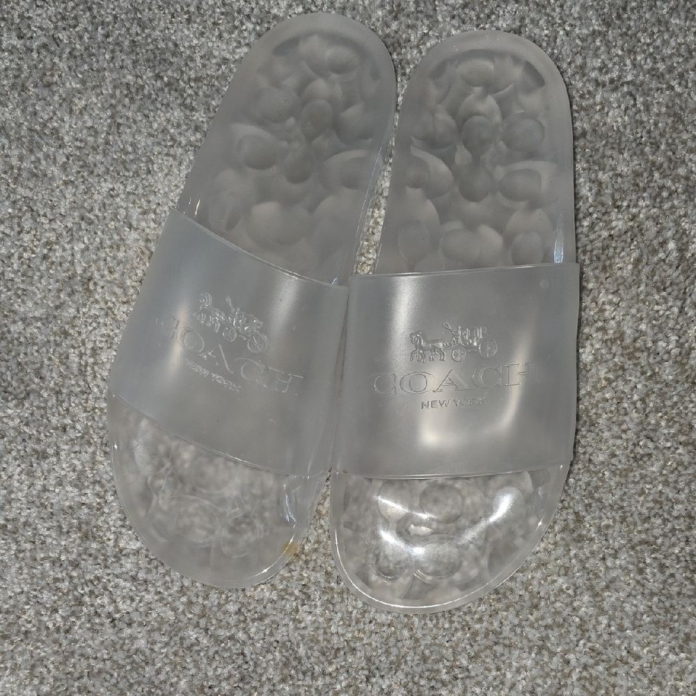 Coach Transparent Slides